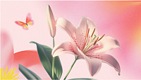 https://flowwow.es/blog/lirios-significado/?utm_referrer=https:/www.google.com/