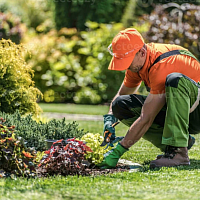 https://podapp.com.ar/los-servicios-de-jardineria-mas-requeridos-a-nivel-mundial/